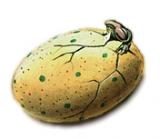 triassic egg.jpg