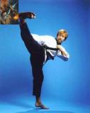 Chuck NOrris roundhouse kicks misstep.jpg