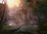 forest-avr2.jpg