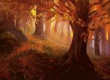 forest-avr3.jpg