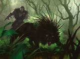wild defiance.jpg